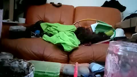 Snapshot of crystelweed chatting on 11/09/25, 08:56 crystelweed online show from 11/09/25, 08:56