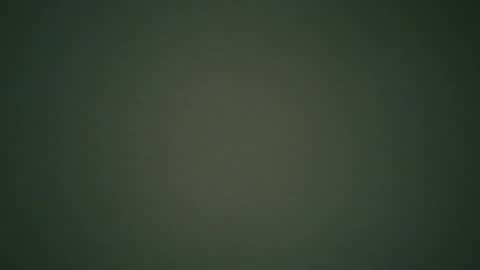 ctbddc online show from 12/24/24, 09:17