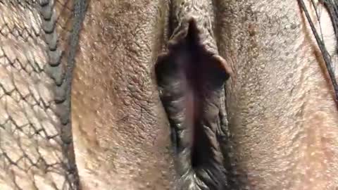 Nambuusi Irene online show from 02/16/26, 09:00