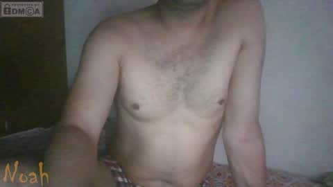 Noha online show from 04/08/26, 07:08