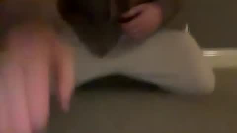 Cumfar online show from 03/31/26, 10:54