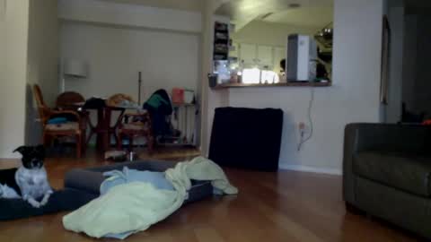 cumfiesta1 online show from 01/01/25, 04:29