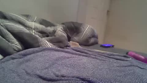 cummbumm69 online show from 02/14/26, 08:16