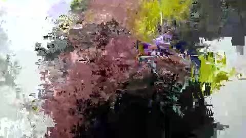 cummwitme211 online show from 02/25/25, 06:42