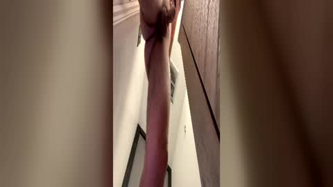 cummygummy355 online show from 06/22/26, 04:20