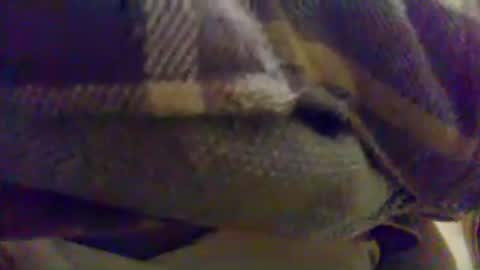cumtowa online show from 06/17/26, 12:13