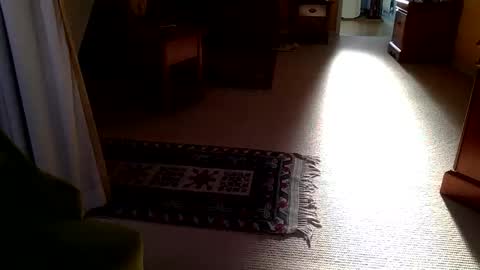 cumonherguys online show from 10/28/25, 08:29