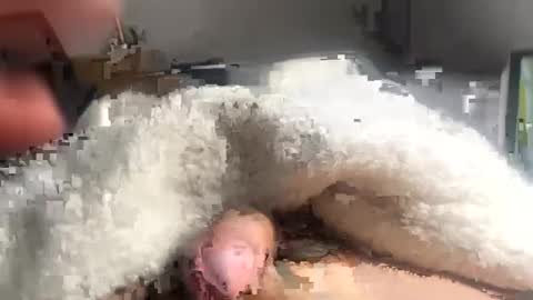 Snapshot of cumonmyf33t chatting on 02/22/25, 12:19 cumonmyf33t online show from 02/22/25, 12:19