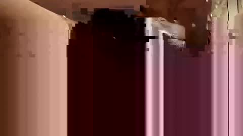 Snapshot of cumsinmealot chatting on 02/22/25, 01:00 Aprilia online show from 02/22/25, 01:00