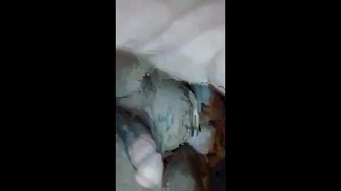 Snapshot of cumsinmealot chatting on 09/23/25, 10:51 Aprilia online show from 09/23/25, 10:51