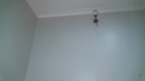 Shiiro online show from 04/11/26, 06:29