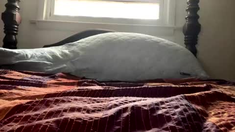 Snapshot of curiousperformance chatting on 12/04/24, 01:53 Curiousperformance online show from 12/04/24, 01:53