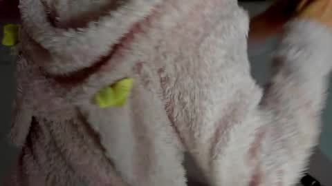 Antonia online show from 11/12/25, 11:14