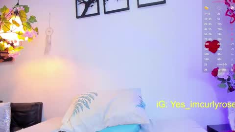Rose online show from 02/15/25, 08:54