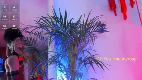 Snapshot of curlyrose_ chatting on 11/22/25, 10:20 Rose online show from 11/22/25, 10:20