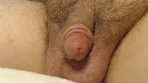 curve66 online show from 10/16/25, 12:55