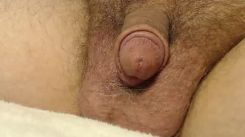 curve66 online show from 10/22/25, 01:06