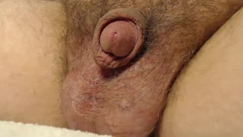 curve66 online show from 11/17/25, 11:10