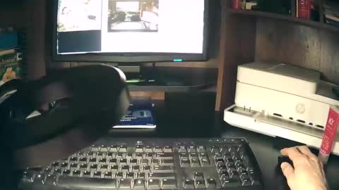 curvelovetool online show from 04/20/26, 02:14