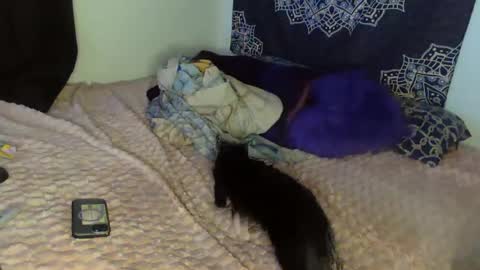 Snapshot of curvybcelinemixe chatting on 02/08/25, 04:47 Cline online show from 02/08/25, 04:47