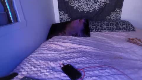 Snapshot of curvybcelinemixe chatting on 03/02/25, 07:21 Cline online show from 03/02/25, 07:21