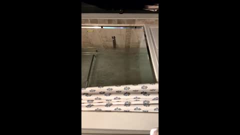 Snapshot of curvyd454066 chatting on 09/26/25, 07:07 curvyd454066 online show from 09/26/25, 07:07