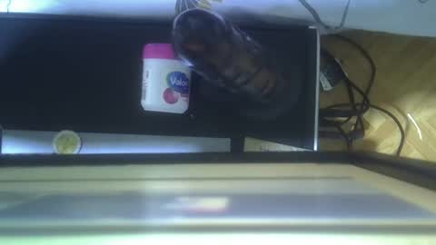 lynn online show from 09/21/25, 03:57