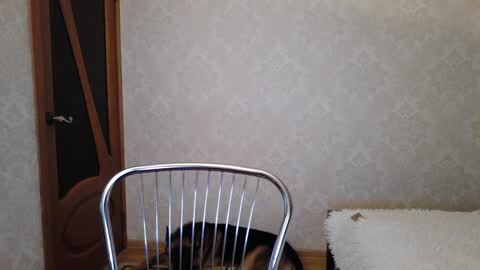Snapshot of cute_strawberry_ chatting on 12/09/24, 04:45 cute_strawberry_ online show from 12/09/24, 04:45