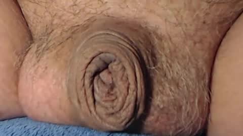 cute_stud1010 online show from 02/08/26, 04:32