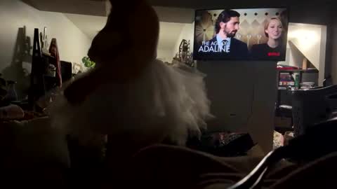 cutebananas online show from 04/17/26, 09:23