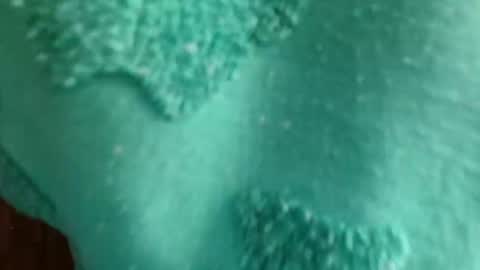 cutebuu online show from 11/21/25, 08:51