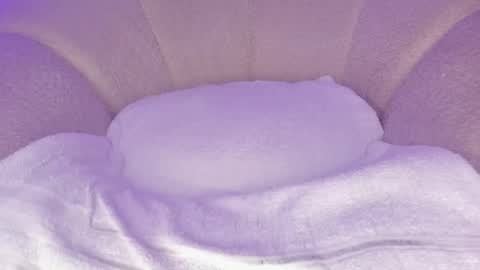 Snapshot of cutte_hanna18 chatting on 12/02/25, 06:58 Hannah online show from 12/02/25, 06:58