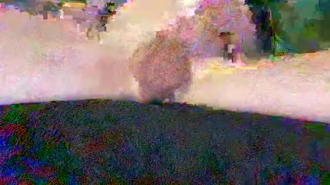 Snapshot of cwaddle chatting on 01/10/25, 03:48 cwaddle online show from 01/10/25, 03:48