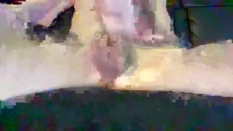 Snapshot of cwaddle chatting on 02/16/25, 03:48 cwaddle online show from 02/16/25, 03:48