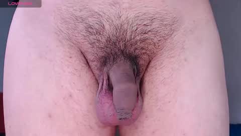 Snapshot of cyber_adan1 chatting on 02/19/25, 03:27 cyber online show from 02/19/25, 03:27