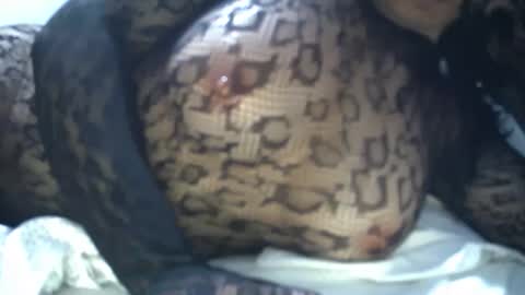 cyndy3393 online show from 04/21/26, 08:20