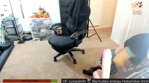 Cynpai online show from 11/17/25, 04:40