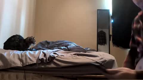 da_man411212 online show from 02/19/26, 10:06