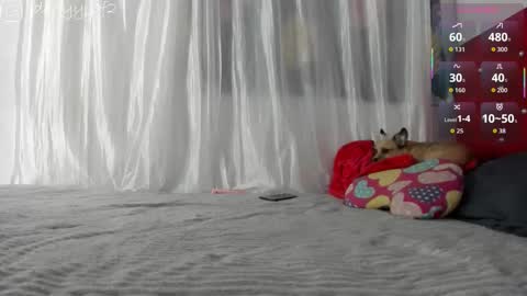 daani_hott online show from 01/09/26, 04:15