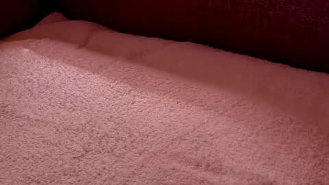 Snapshot of dad_next_door chatting on 02/27/25, 09:58 Richard online show from 02/27/25, 09:58