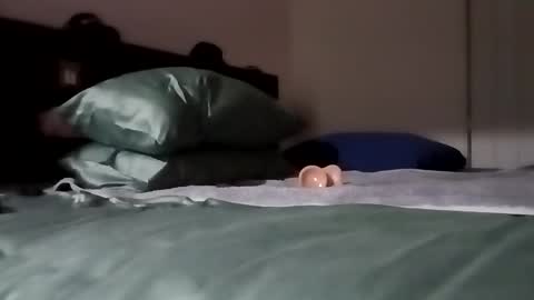 Kasey Xdresser online show from 02/06/26, 04:54