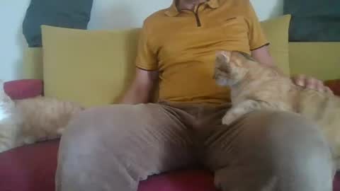 daddycomehome1 online show from 06/01/26, 08:16