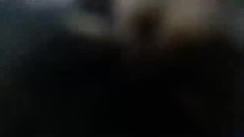 Snapshot of daddydick6969twin77 chatting on 10/12/25, 01:59 DDick online show from 10/12/25, 01:59