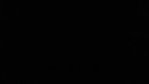 Ray Stevens Jr online show from 12/23/24, 09:16