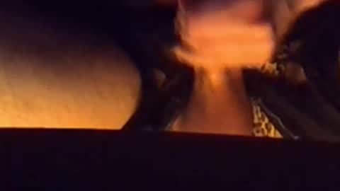 daddypervbuttprincess online show from 02/26/26, 05:56