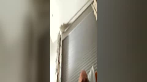 daddyweis online show from 06/15/26, 02:14