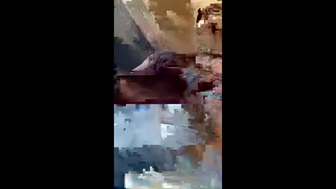 dadsfreedickrides online show from 06/04/26, 09:15