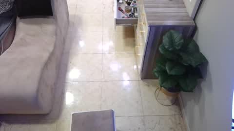 Snapshot of daffiih chatting on 02/16/25, 12:54 Deffa online show from 02/16/25, 12:54