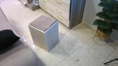 Snapshot of daffiih chatting on 02/23/25, 08:49 Deffa online show from 02/23/25, 08:49