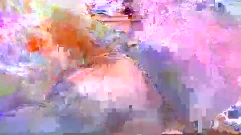 dafo1980 online show from 04/20/26, 12:19